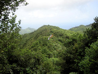 Grenada and Cariacou