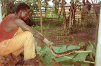 Republic of Congo (Congo-Brazaville) submitted by Tristan Purvis (RPCV, Congo, 1994-1996).